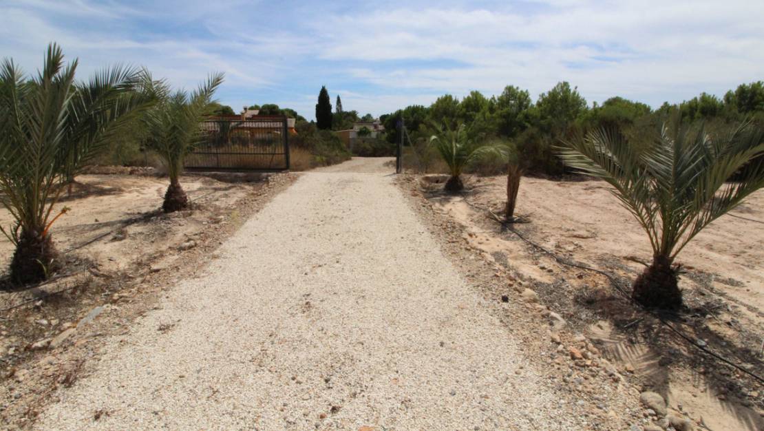 Sale - Land - Elche - Elche Centro