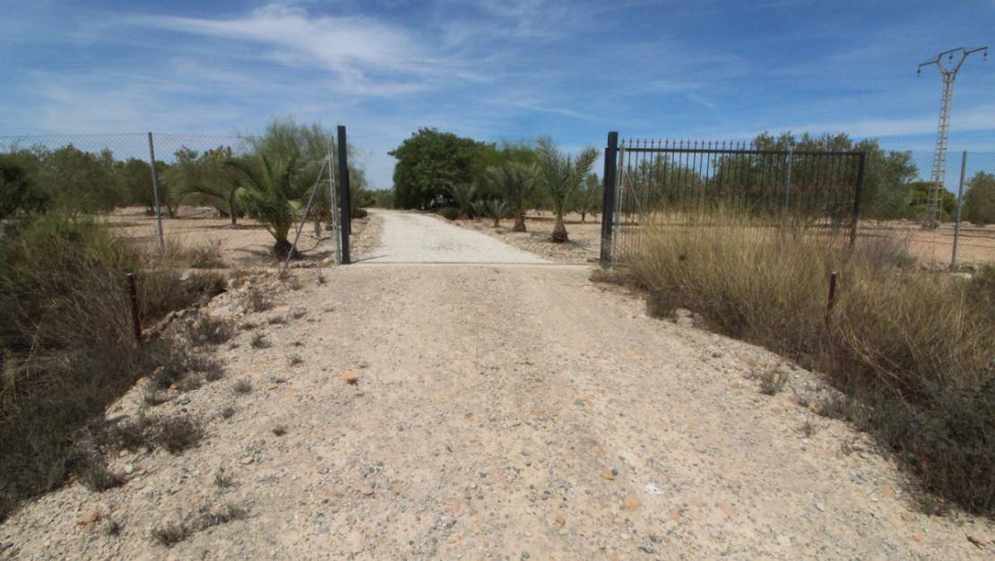 Sale - Land - Elche - Elche Centro