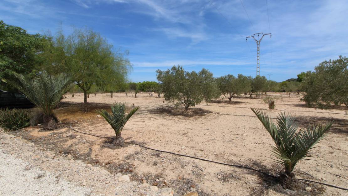 Sale - Land - Elche - Elche Centro