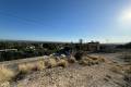 Sale - Land - Elche - Elche Centro