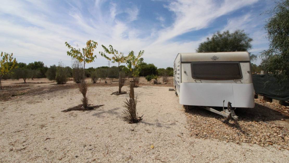 Sale - Land - Elche - Elche Centro