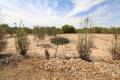 Sale - Land - Elche - Elche Centro