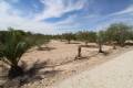Sale - Land - Elche - Elche Centro