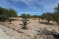 Sale - Land - Elche - Elche Centro