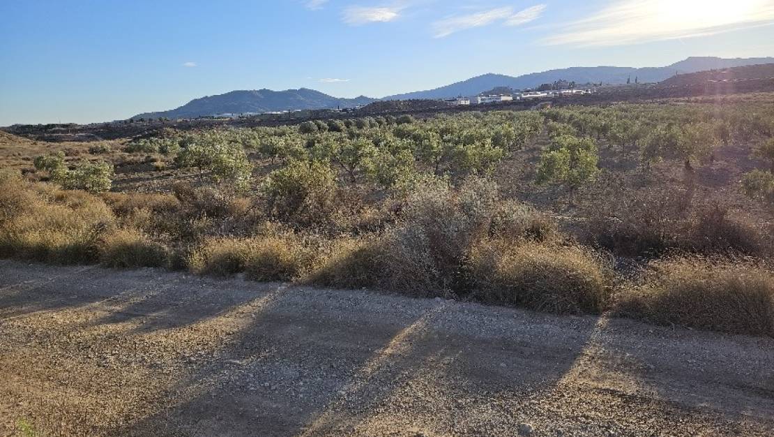 Sale - Land - Elda - Elda Centro