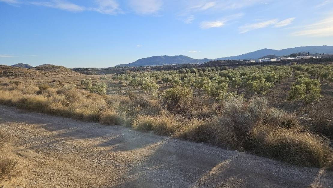 Sale - Land - Elda - Elda Centro