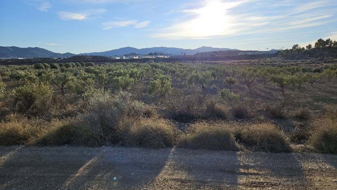 Sale - Land - Elda - Elda Centro