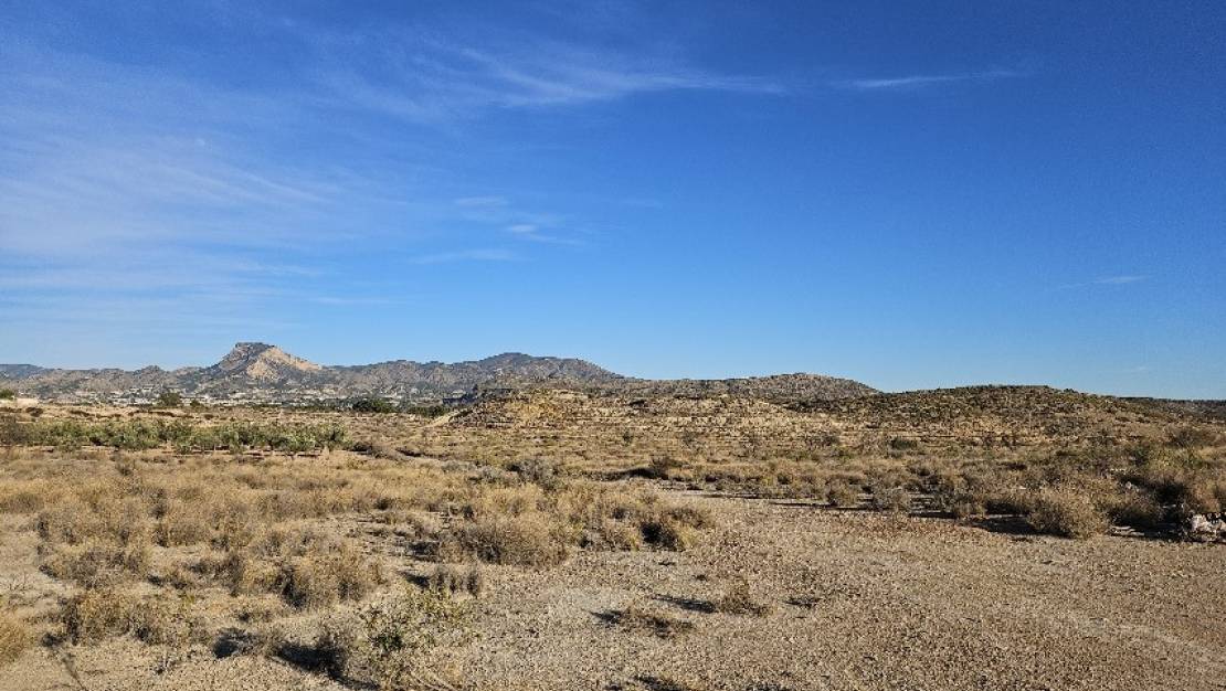 Sale - Land - Elda - Elda Centro