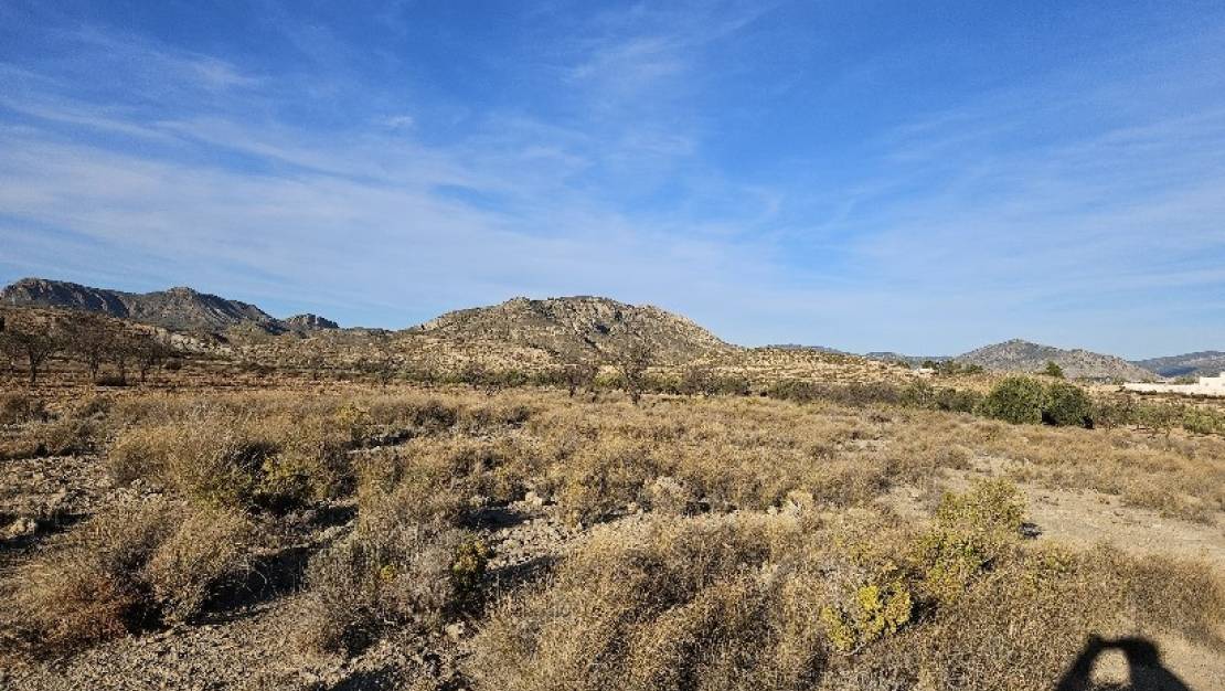 Sale - Land - Elda - Elda Centro