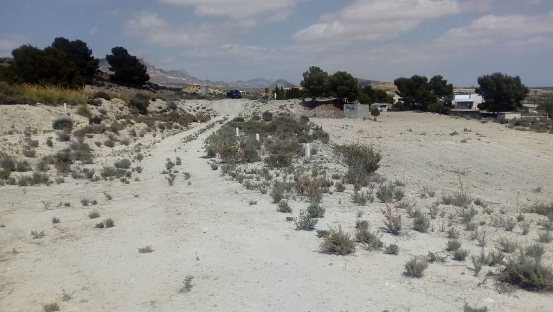 Sale - Land - Fortuna - Fortuna Centro