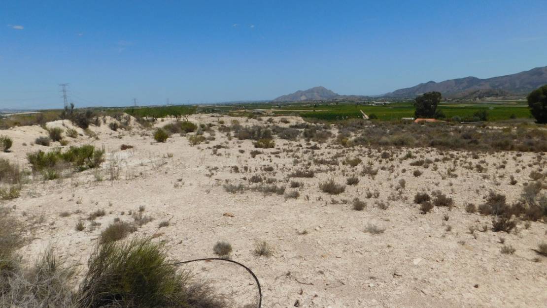 Sale - Land - Fortuna - Fortuna Centro