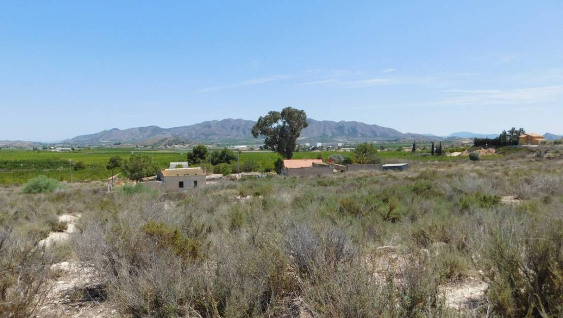 Sale - Land - Fortuna - Fortuna Centro