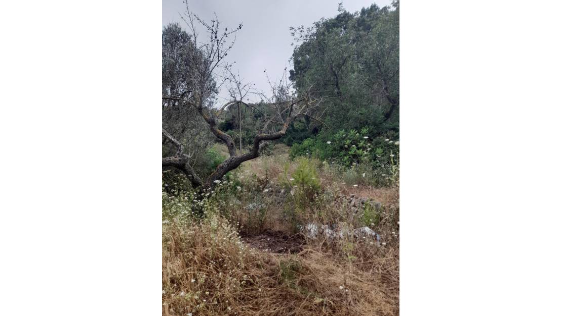 Sale - Land - Guadalest - Guadalest Centro