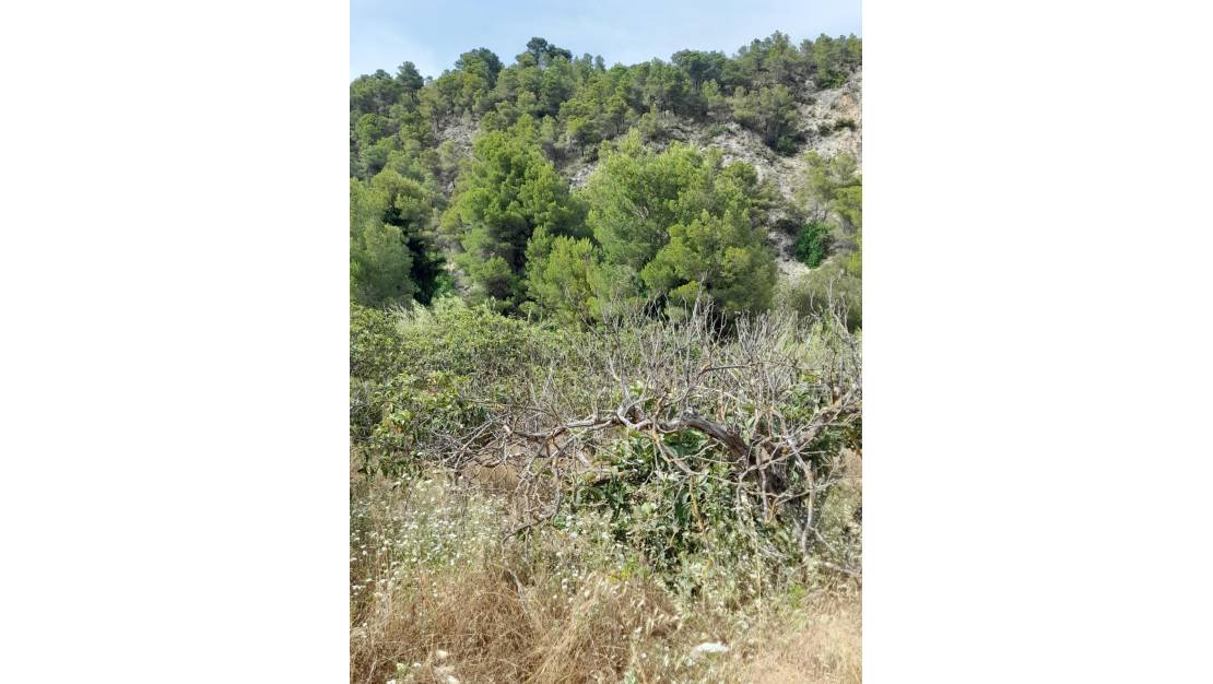 Sale - Land - Guadalest - Guadalest Centro