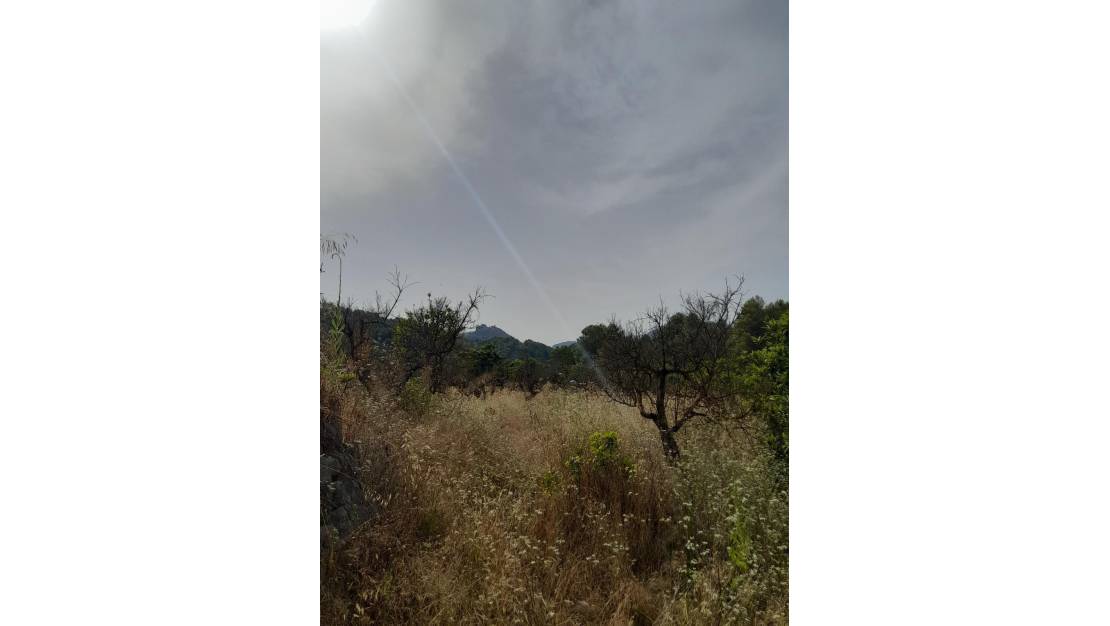 Sale - Land - Guadalest - Guadalest Centro