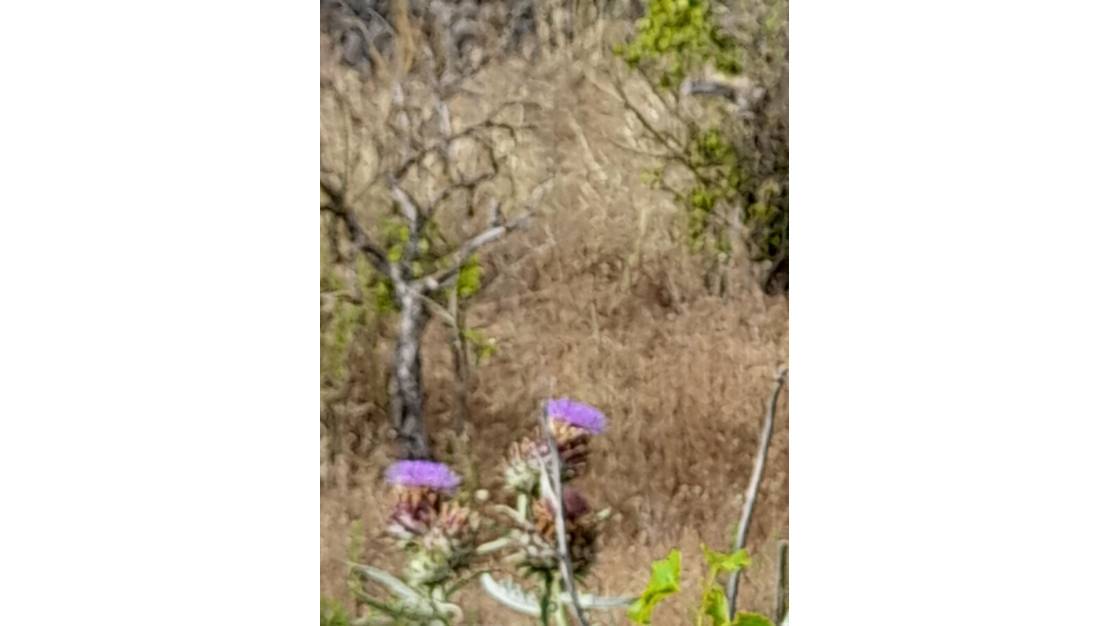 Sale - Land - Guadalest - Guadalest Centro