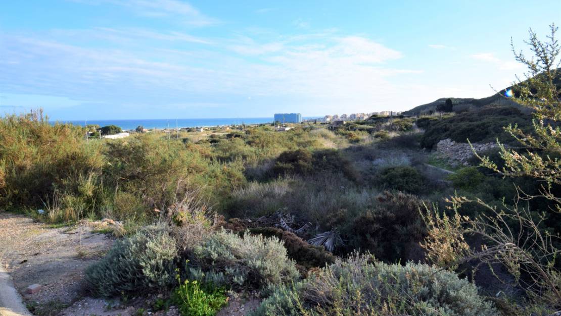 Sale - Land - Guardamar del Segura - Guardamar del Segura Centro