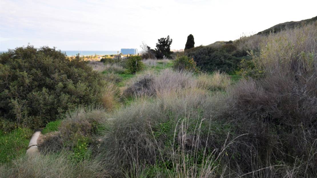 Sale - Land - Guardamar del Segura - Guardamar del Segura Centro