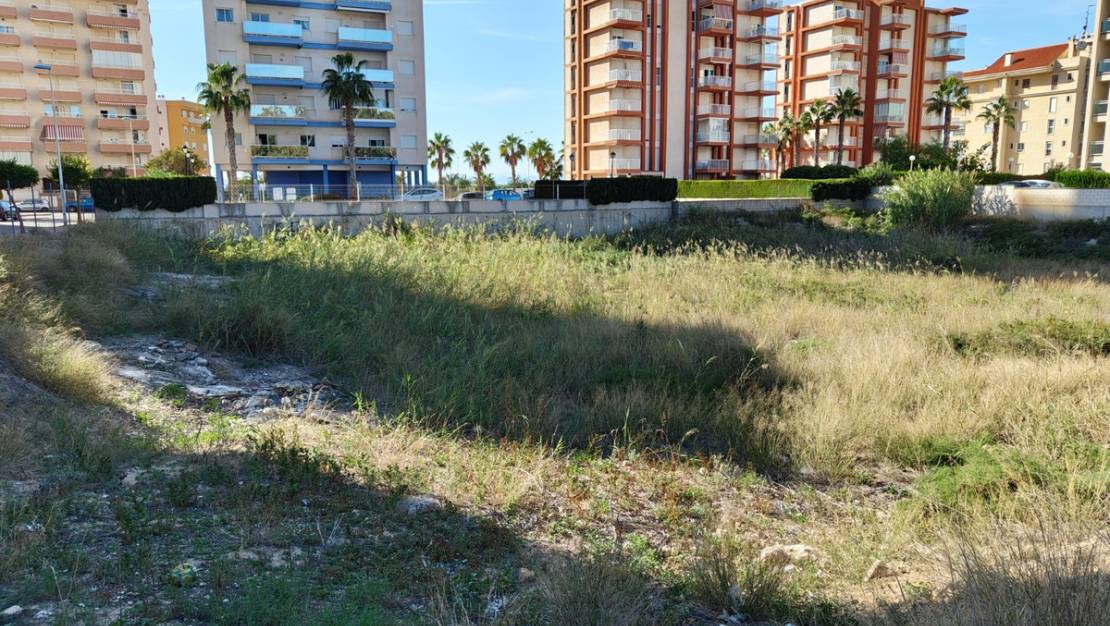 Sale - Land - Guardamar del Segura - Guardamar del Segura Centro
