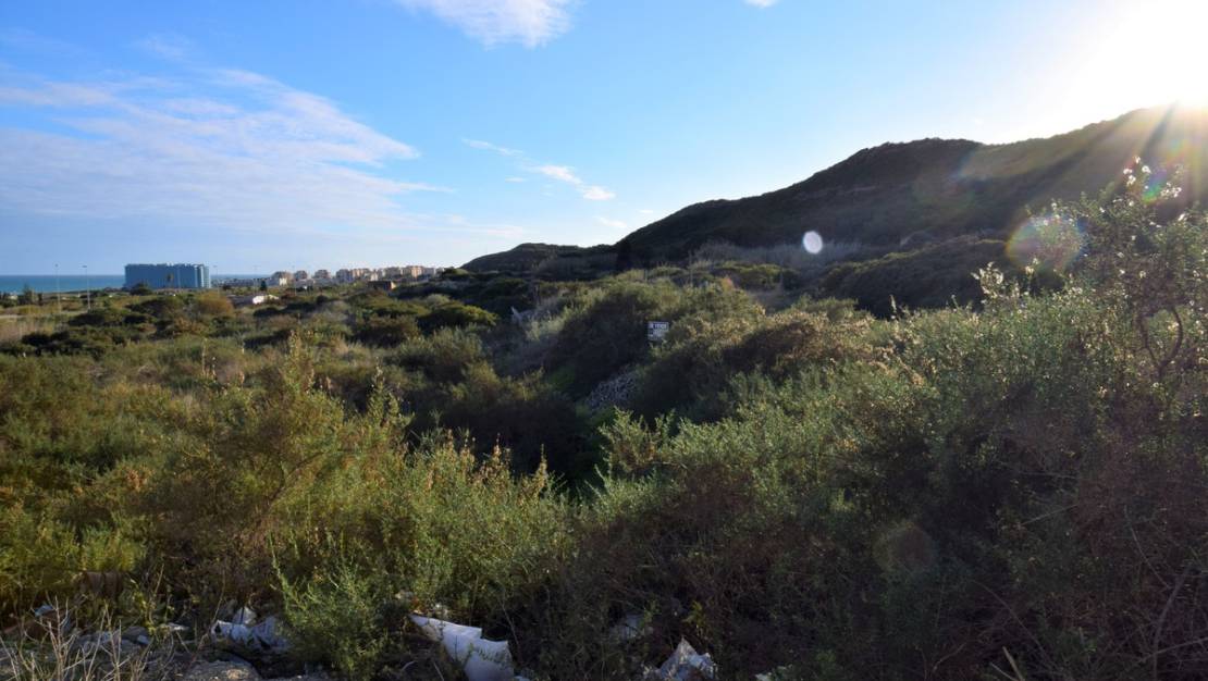 Sale - Land - Guardamar del Segura - Guardamar del Segura Centro
