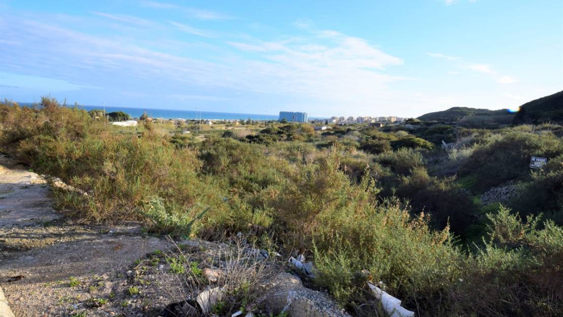 Sale - Land - Guardamar del Segura - Guardamar del Segura Centro