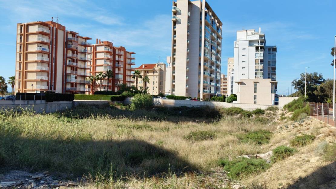 Sale - Land - Guardamar del Segura - Guardamar del Segura Centro