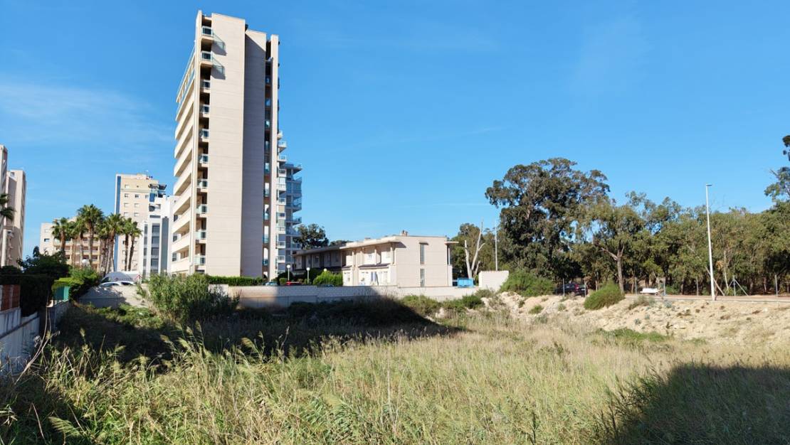 Sale - Land - Guardamar del Segura - Guardamar del Segura Centro