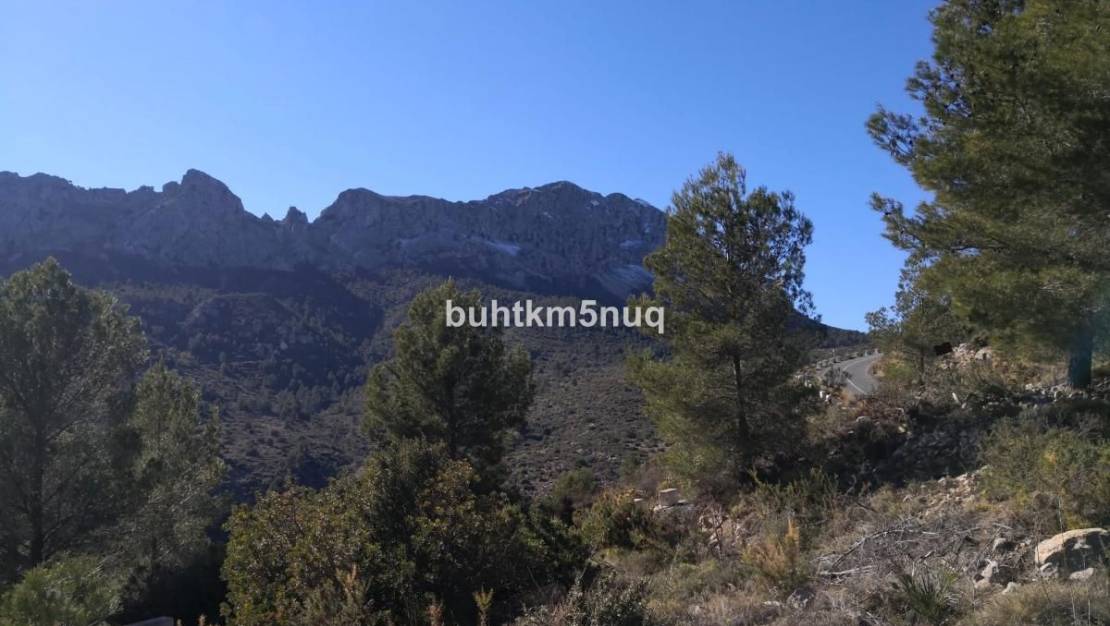 Sale - Land - Jalón - Bernia