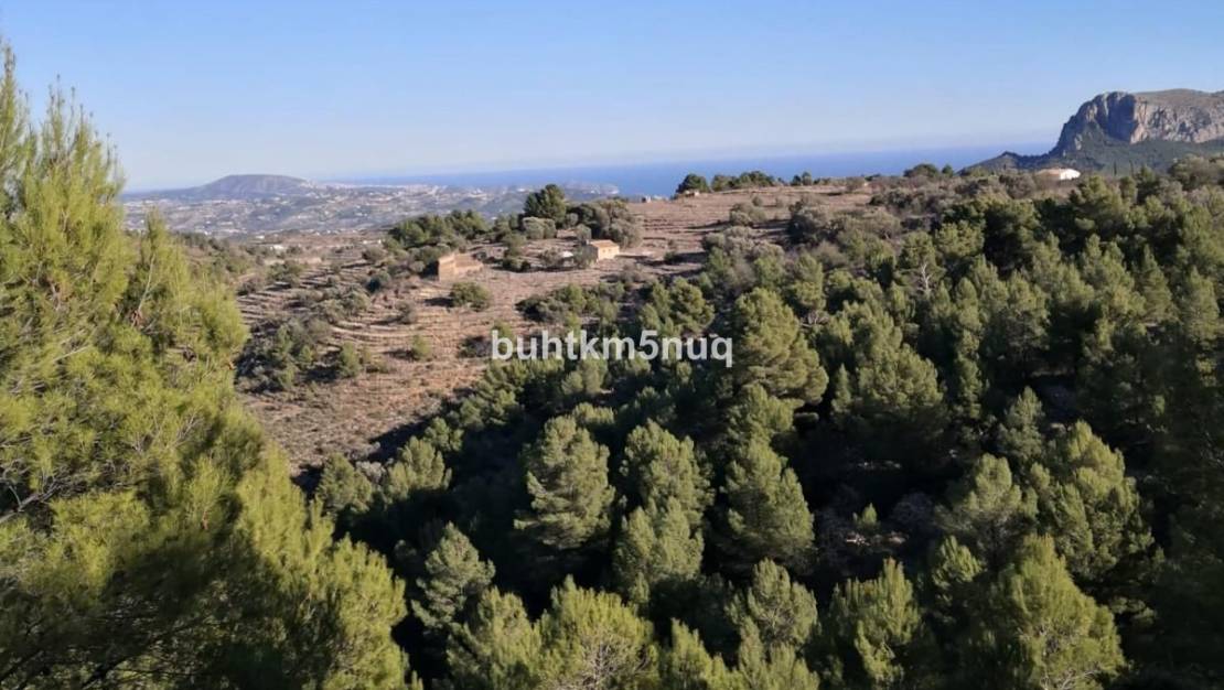 Sale - Land - Jalón - Bernia