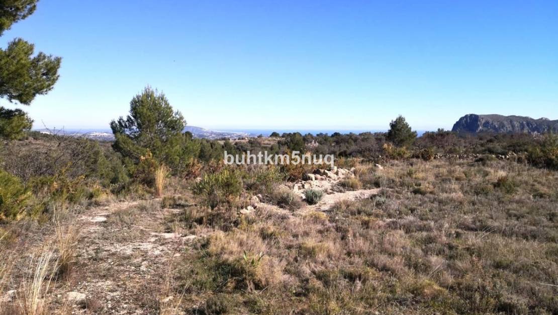 Sale - Land - Jalón - Bernia