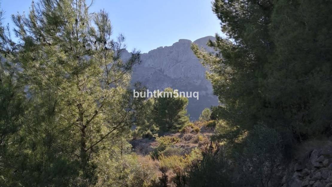 Sale - Land - Jalón - Bernia