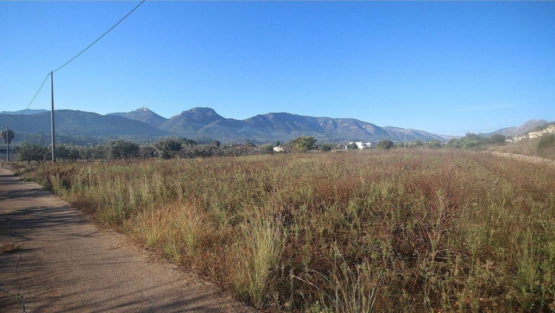 Sale - Land - Jalón - Jalon Centro