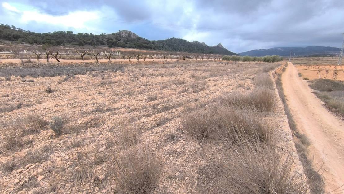 Sale - Land - Jalón - La Solana
