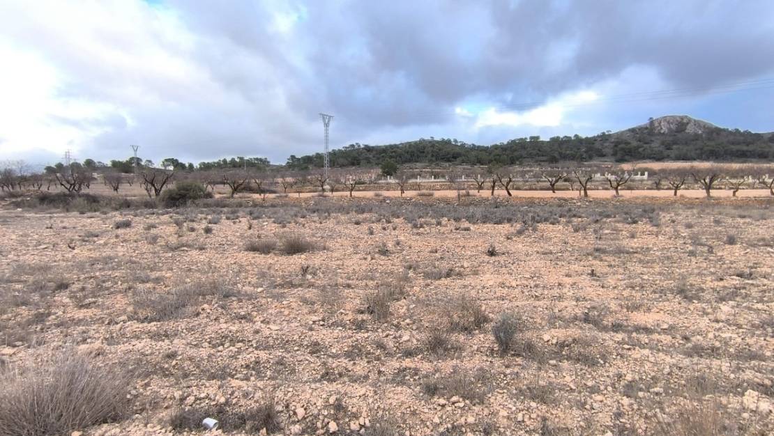 Sale - Land - Jalón - La Solana