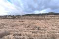 Sale - Land - Jalón - La Solana