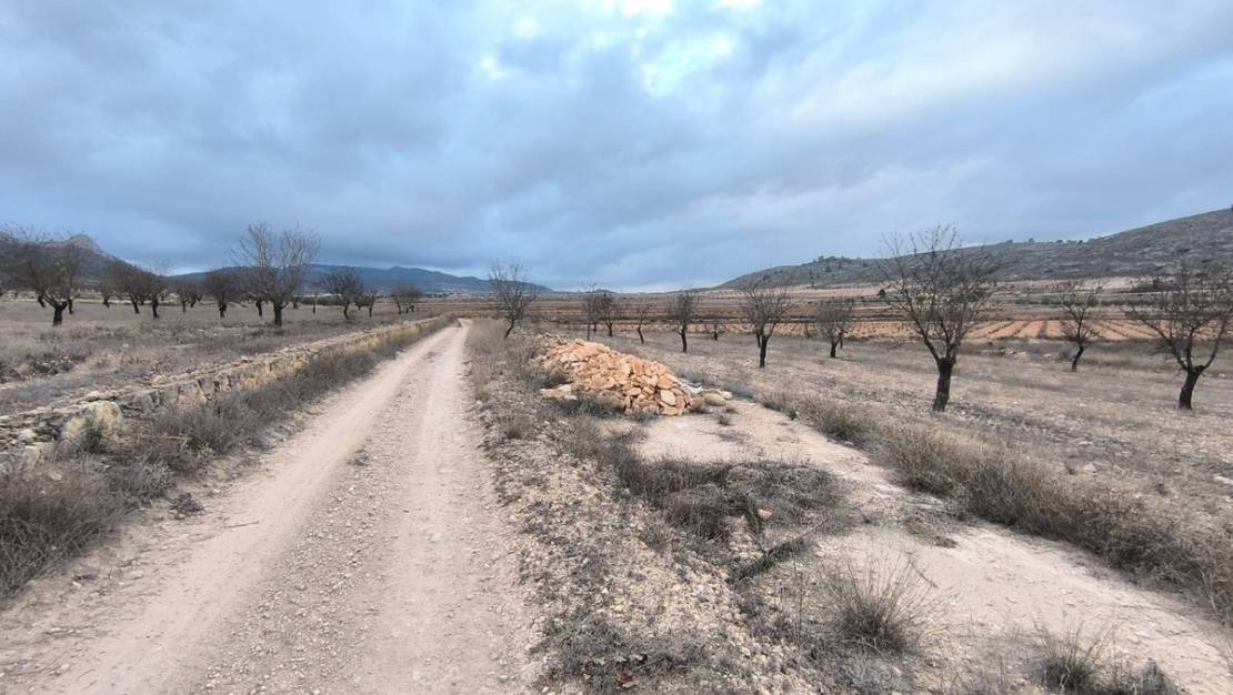 Sale - Land - Jalón - La Solana