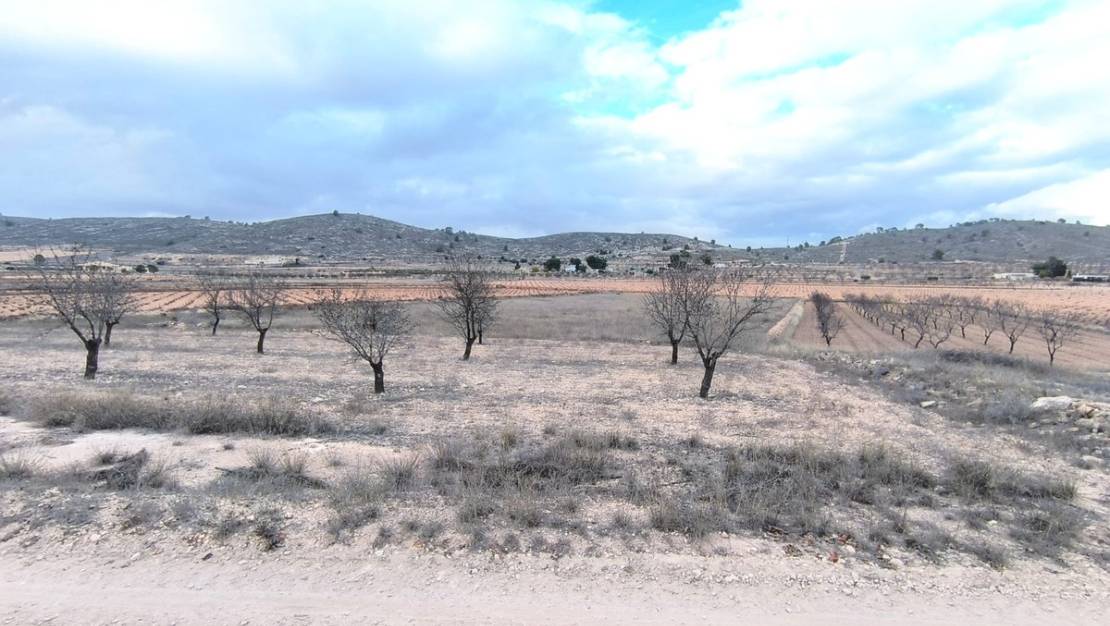 Sale - Land - Jalón - La Solana