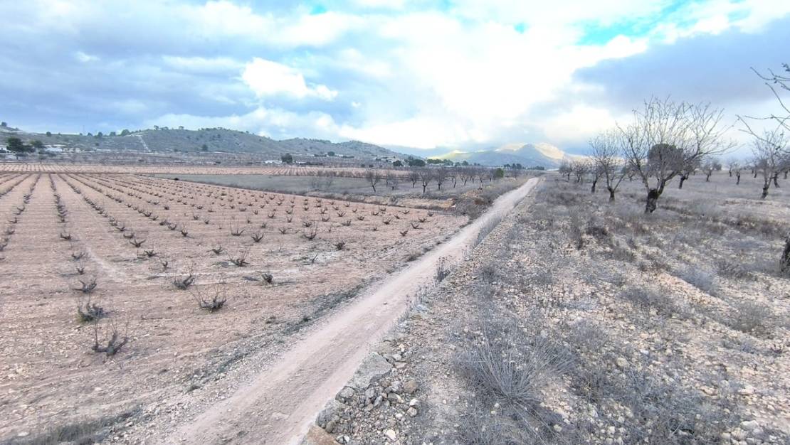 Sale - Land - Jalón - La Solana