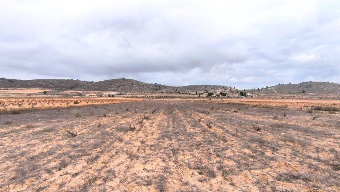 Sale - Land - Jalón - La Solana