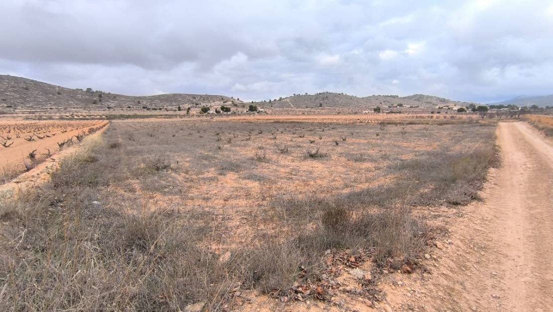 Sale - Land - Jalón - La Solana