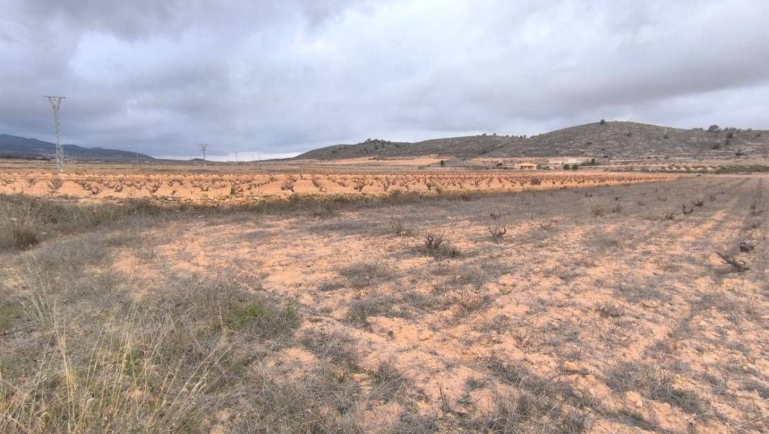 Sale - Land - Jalón - La Solana