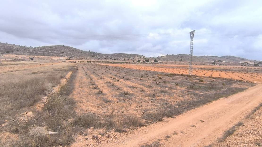 Sale - Land - Jalón - La Solana
