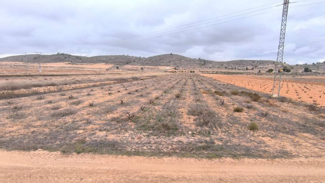 Sale - Land - Jalón - La Solana