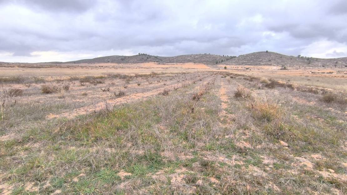 Sale - Land - Jalón - La Solana