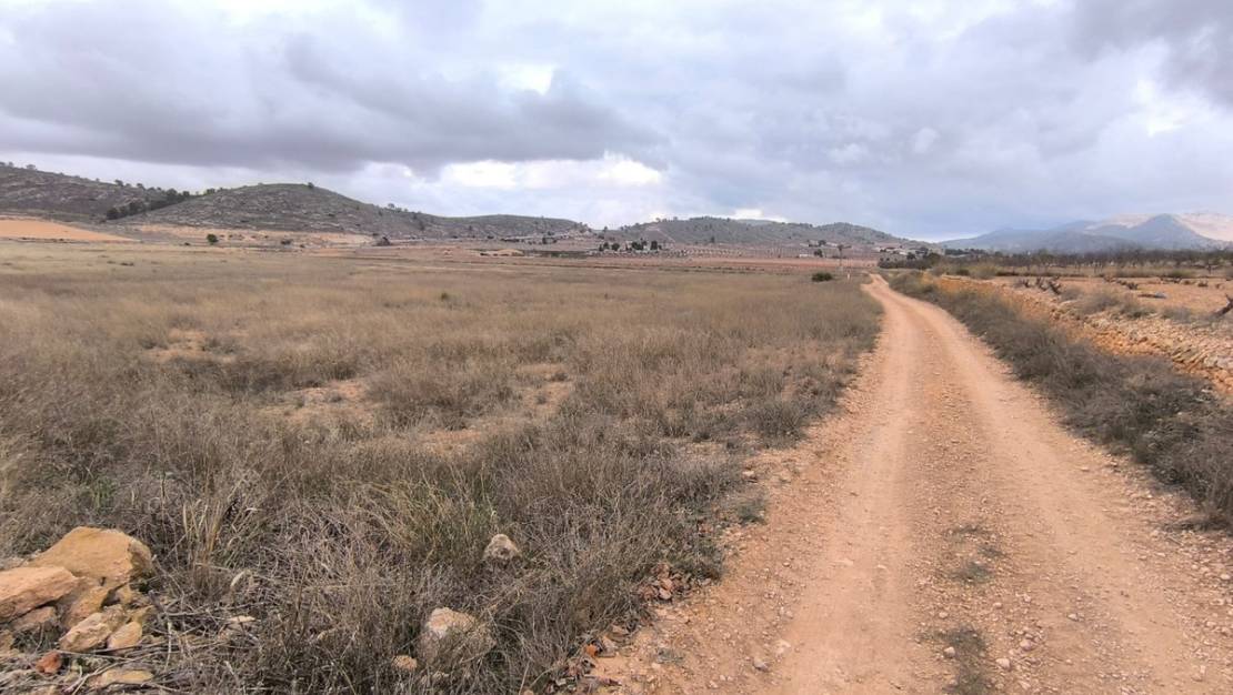 Sale - Land - Jalón - La Solana