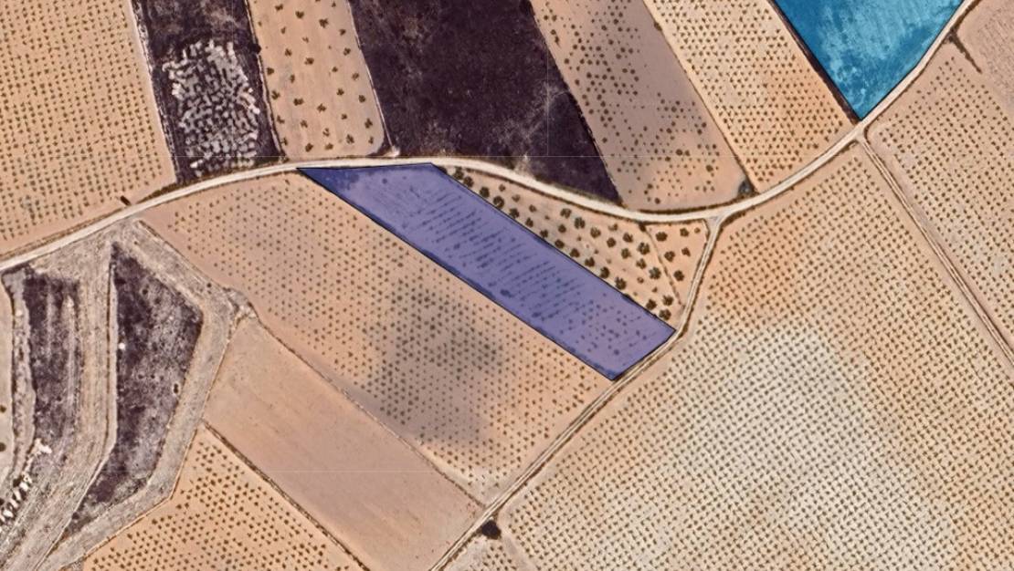 Sale - Land - Jalón - La Solana