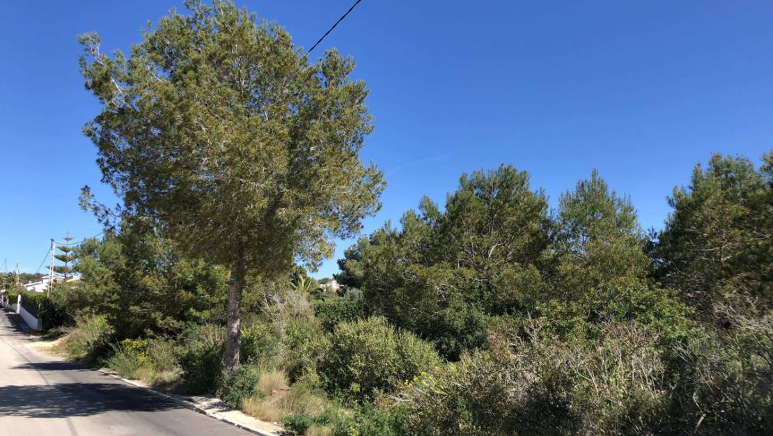 Sale - Land - Jávea - Xàbia - Jávea - Xàbia Centro