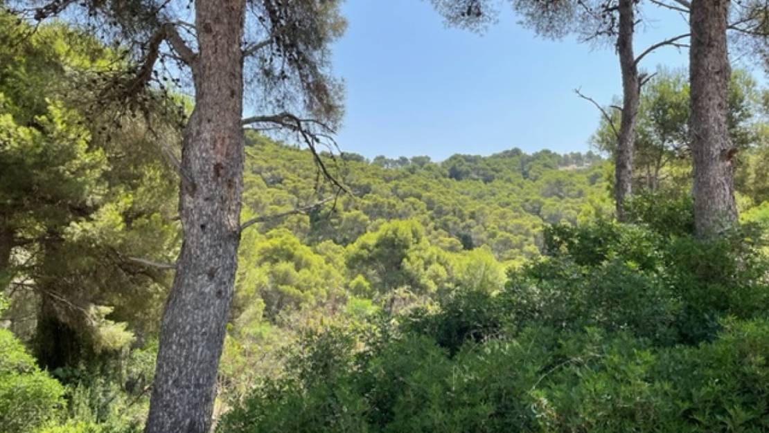 Sale - Land - Jávea - Xàbia - Jávea - Xàbia Centro