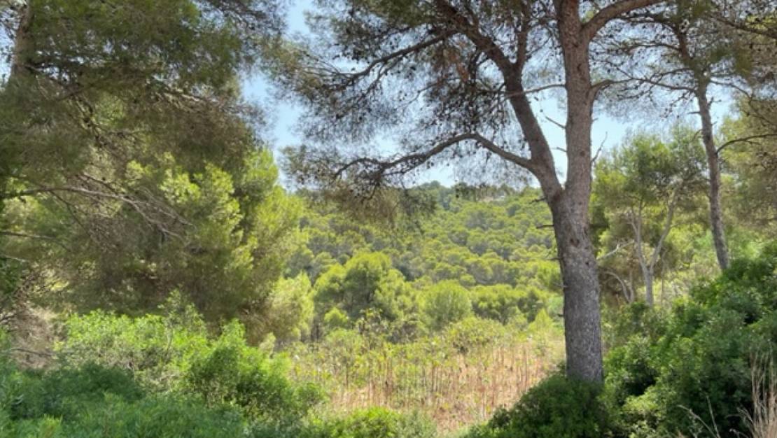 Sale - Land - Jávea - Xàbia - Jávea - Xàbia Centro