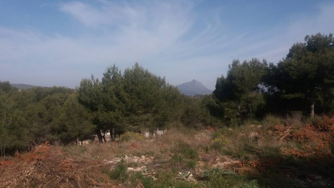 Sale - Land - Jávea - Xàbia - Jávea - Xàbia Centro